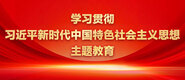 日本男人和女人乱操学习贯彻习近平新时代中国特色社会主义思想主题教育_fororder_ad-371X160(2)